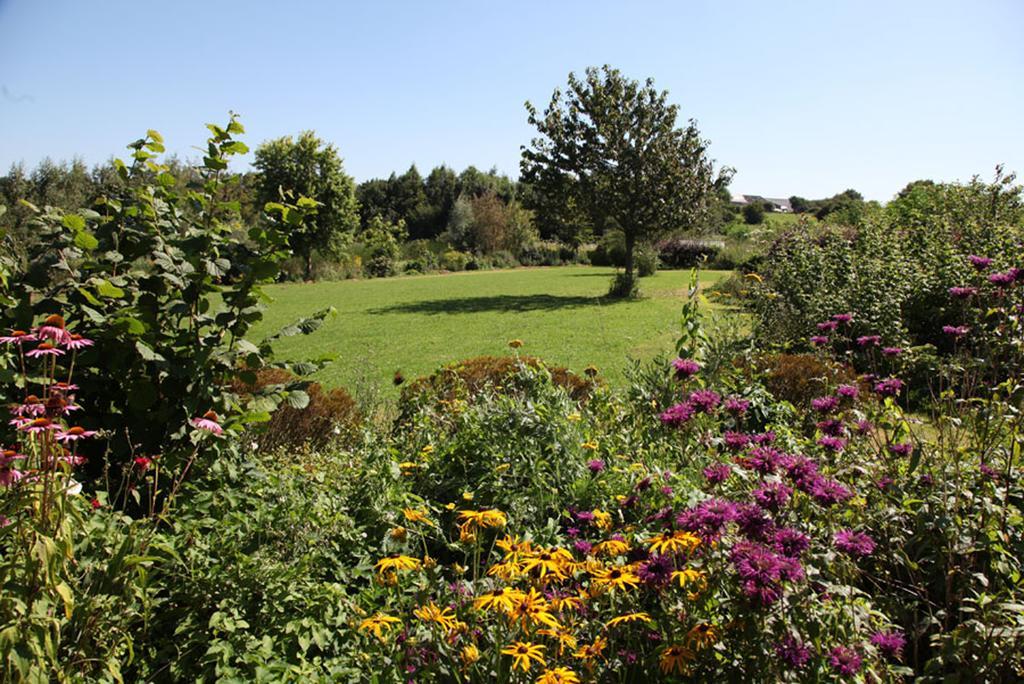 La Citadelle D'Hututu Bed and Breakfast Avesnes-sur-Helpe Εξωτερικό φωτογραφία